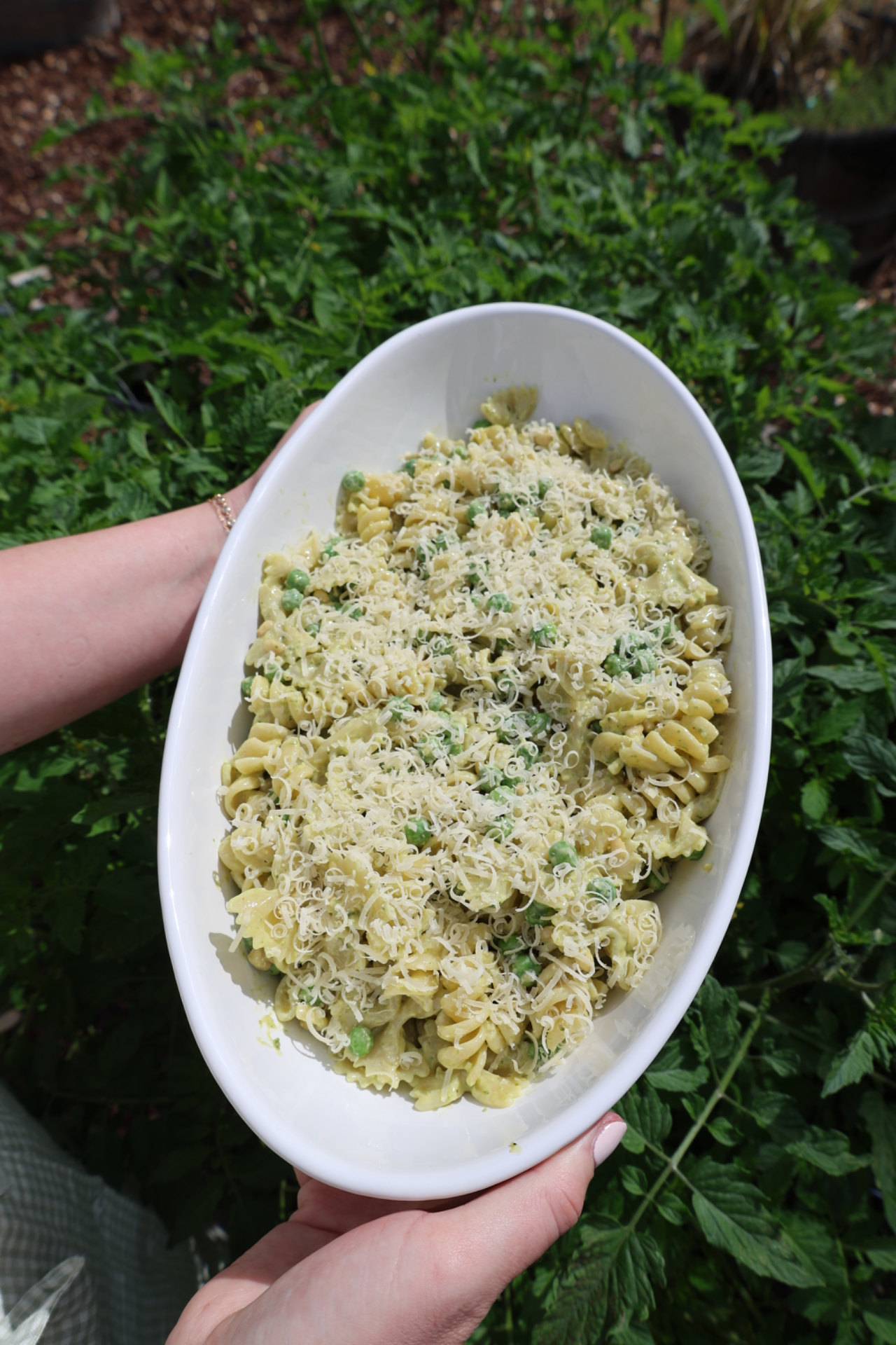 Pesto Pasta Salad